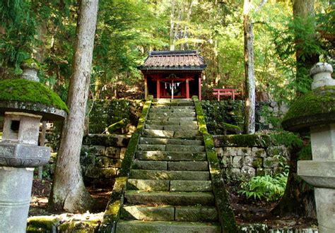 青龍 神社|青龍神社